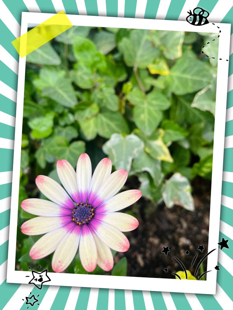 お休みです。。。