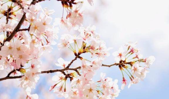 3/23 小粋のお客様☆