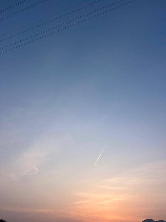 楽しみこんにちは