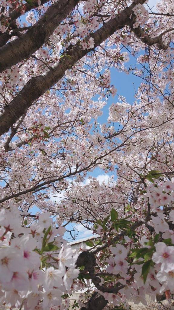 4/4 バリ・ラティ の方へ