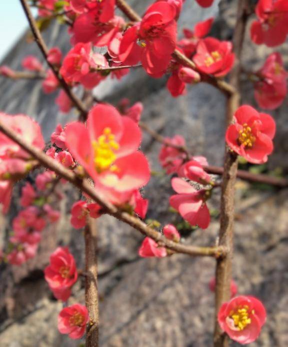 4/11(土) BENEのお客様☆