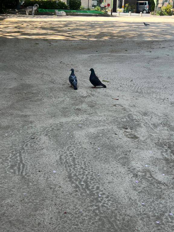 休憩中～