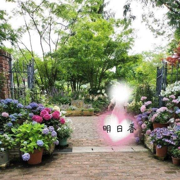 今日＆明日のご予約お礼?