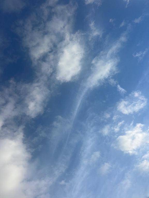 月曜日