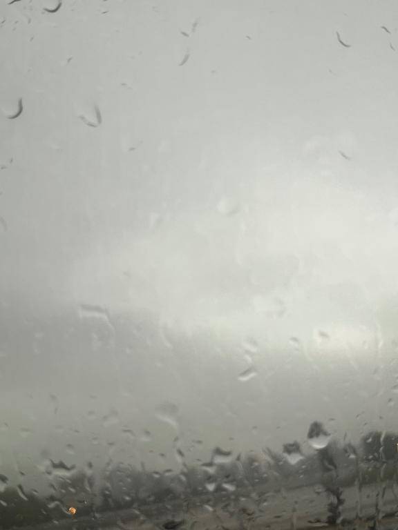 雨にも負けず