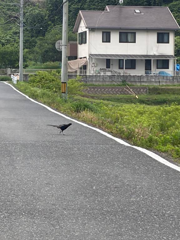 こんにちは