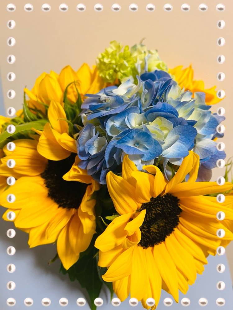 今週の予定です☆