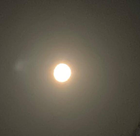今夜は十五夜だそうです