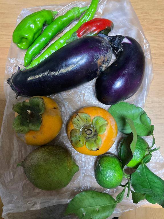 野菜と果物をもらいました