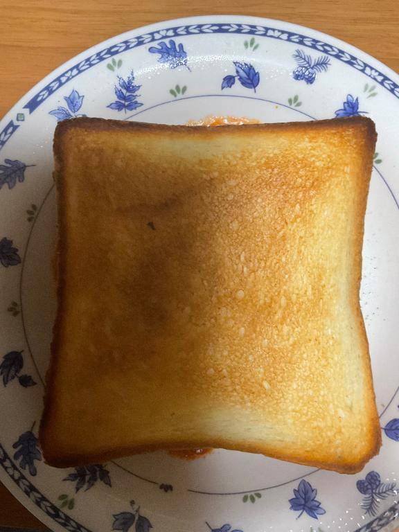 なんとか写真はバックアップできました