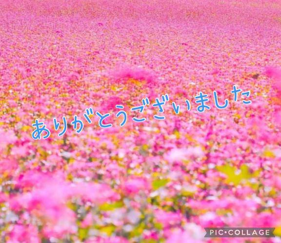 松嶋さん（肉姫）