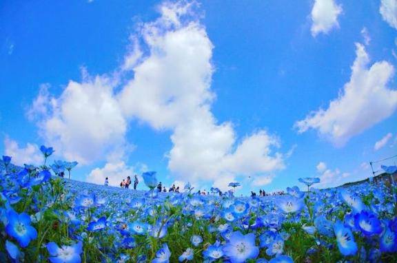 アラジンのお兄さん