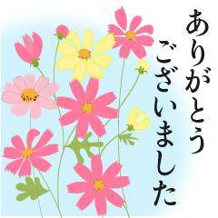 白川風俗未経験