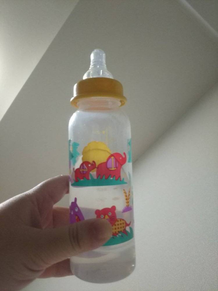 "岡山市北区京橋町朝市が終わったあと🤓" を YouTube で見る