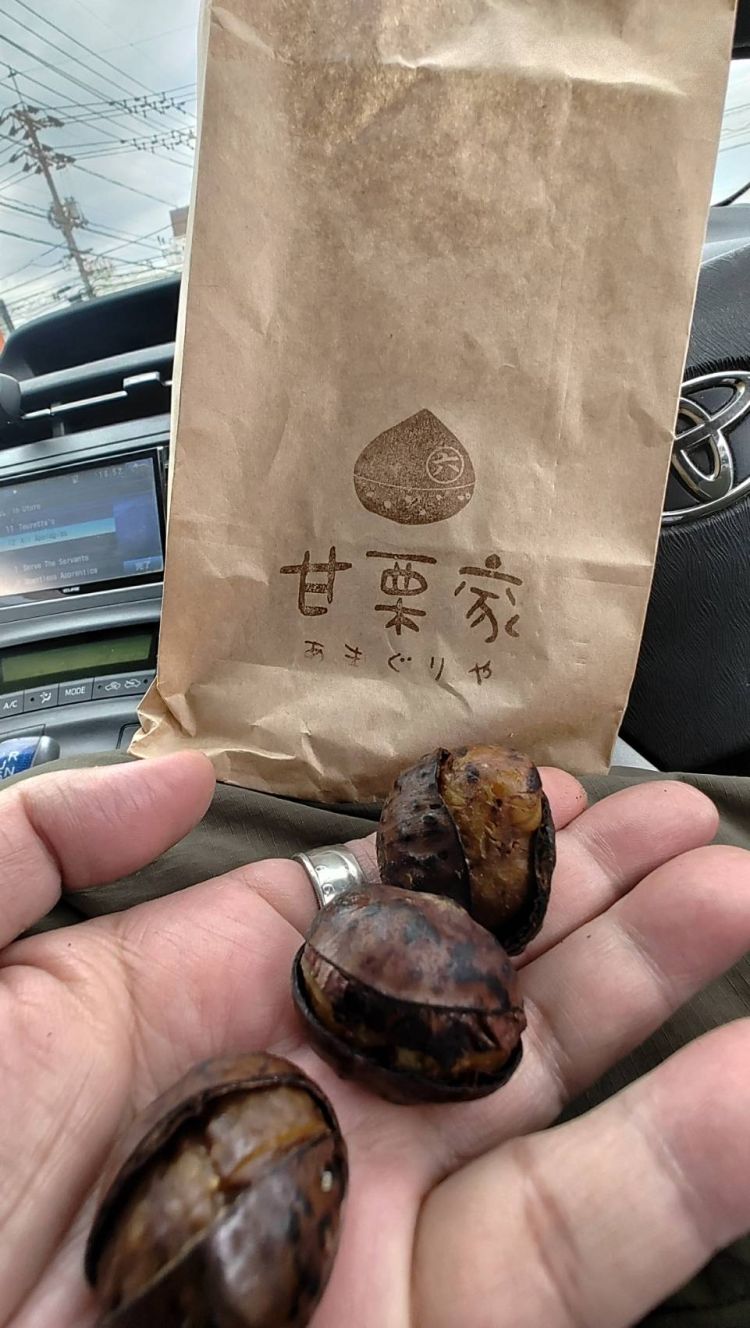 今日も楽しく遊ぼう(^^♪