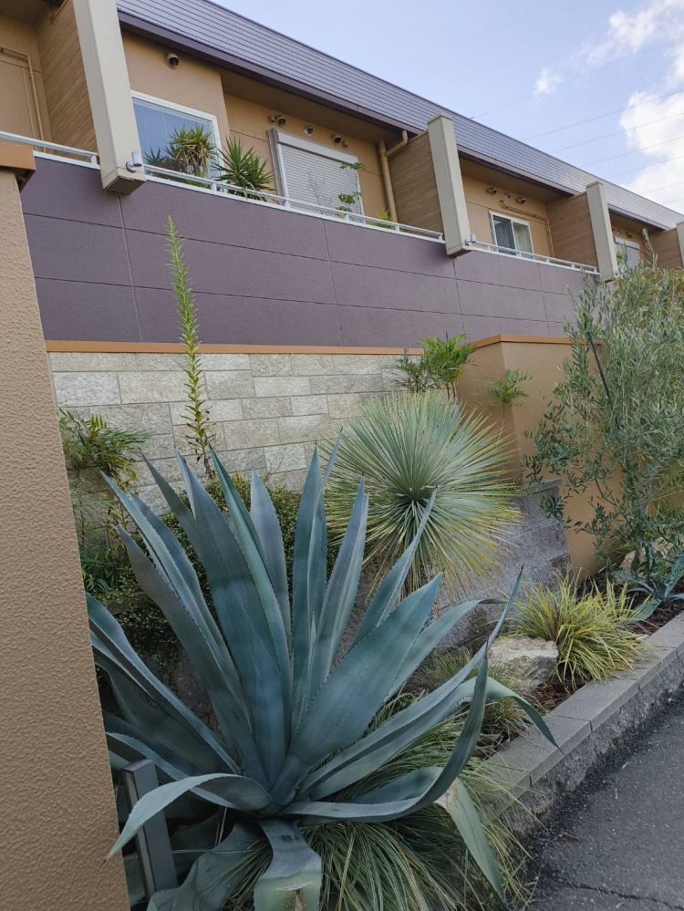 複数プレイのご予約お待ちしています('◇')ゞ