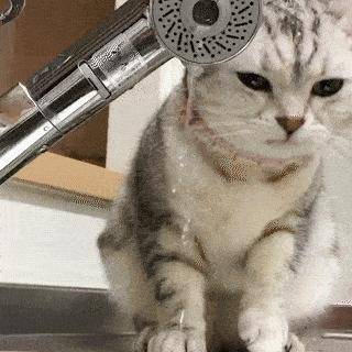 体験入店前のかよです?ぽっかぽかですね?