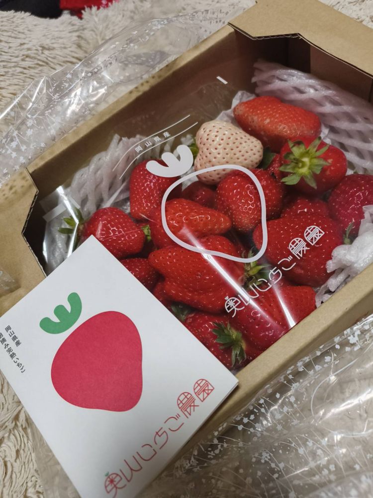 ご予約お待ちしています(^_-)-☆