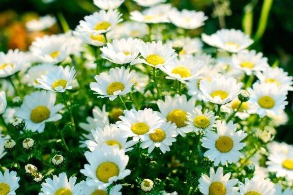出勤しました🌻