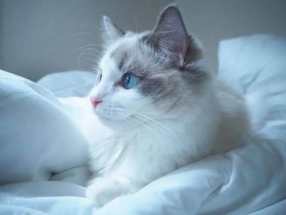 出勤してます✨