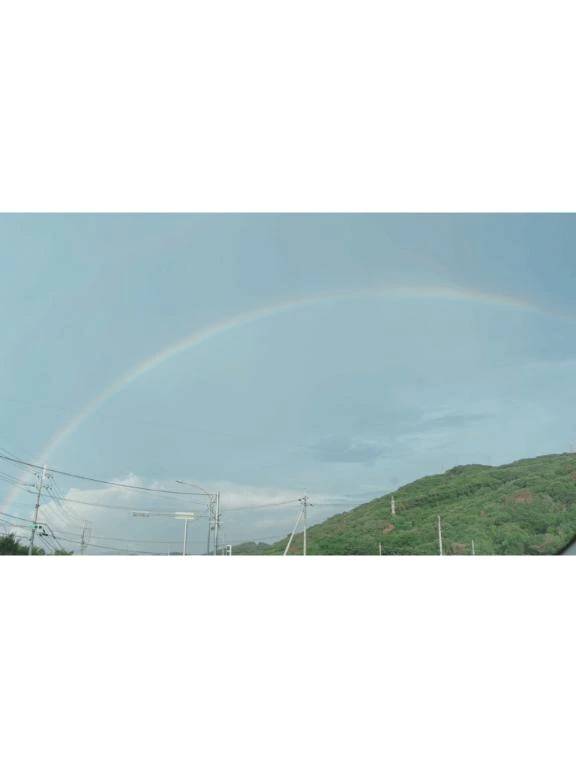 昨日見た人ー？？