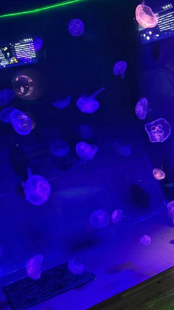 覚えてるかなぁ🥺🥺