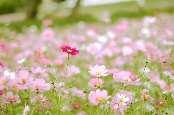 出勤します🌼