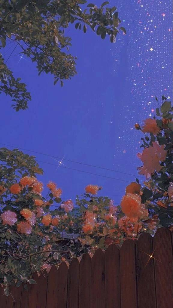 出勤☺️