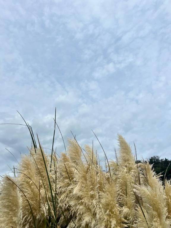 今日も出勤したよ🌈