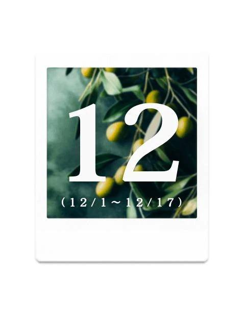 【12月の出勤】