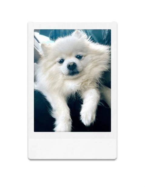 私の知らないレイコ