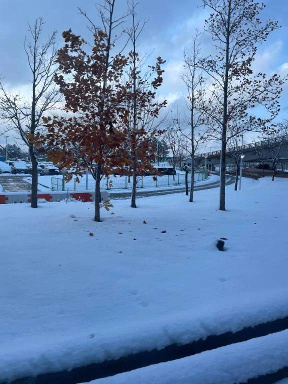 お久しぶりです🥰