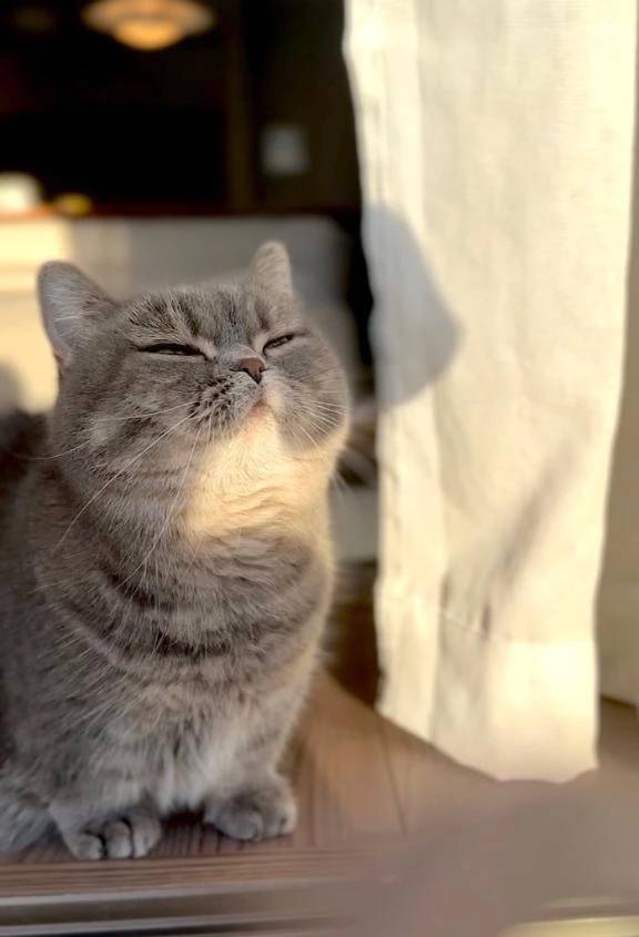 さら(しろうとcollection)