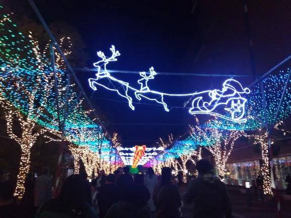 本指名ありがと♡