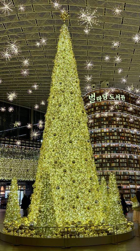 はじめまして🧸