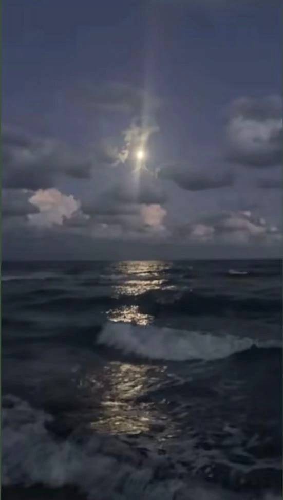 ありがとう🌹✨