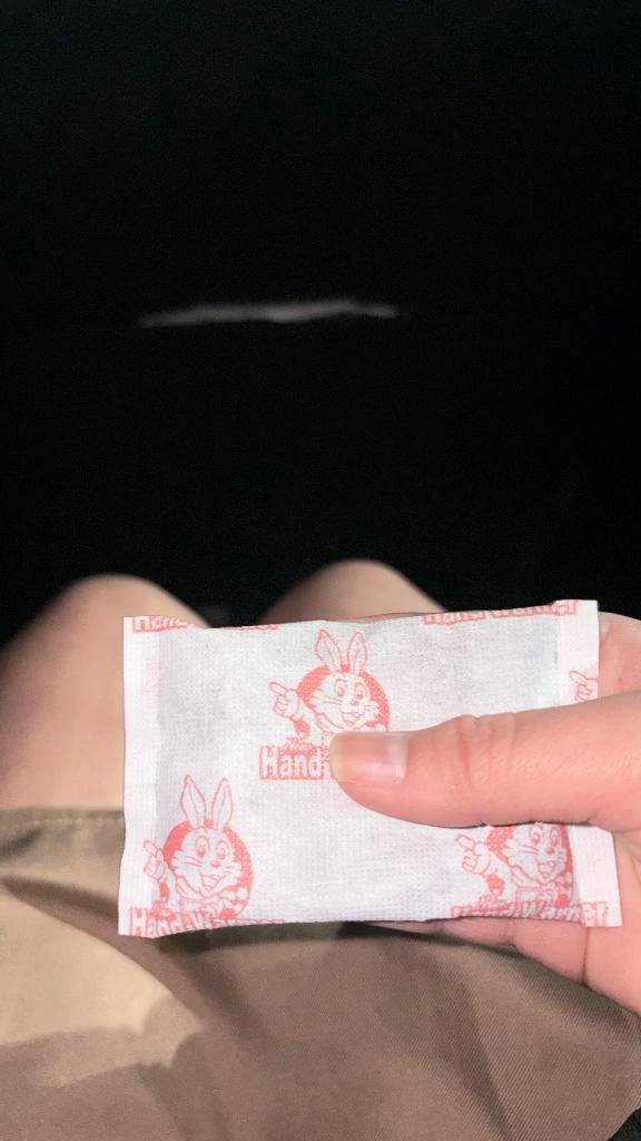 うさぎ(しろうとcollection)