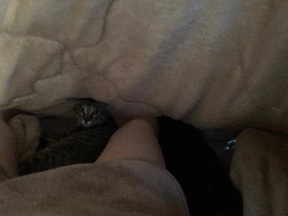 今日は14時〜出勤します✌️