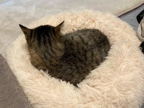 19時過ぎにXOのお兄さんへ😊