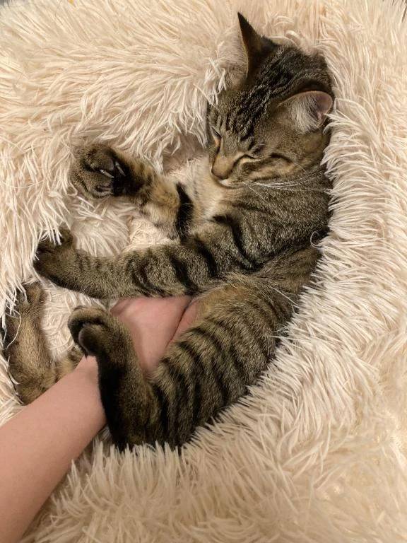 ！急！29日も出勤させていただきます😉