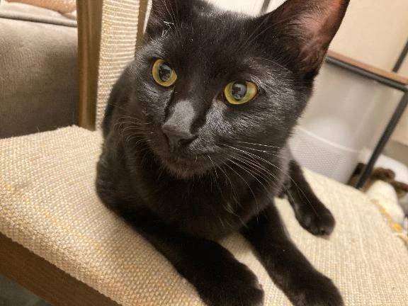 ご自宅に招待してくださったお兄さんへ😇