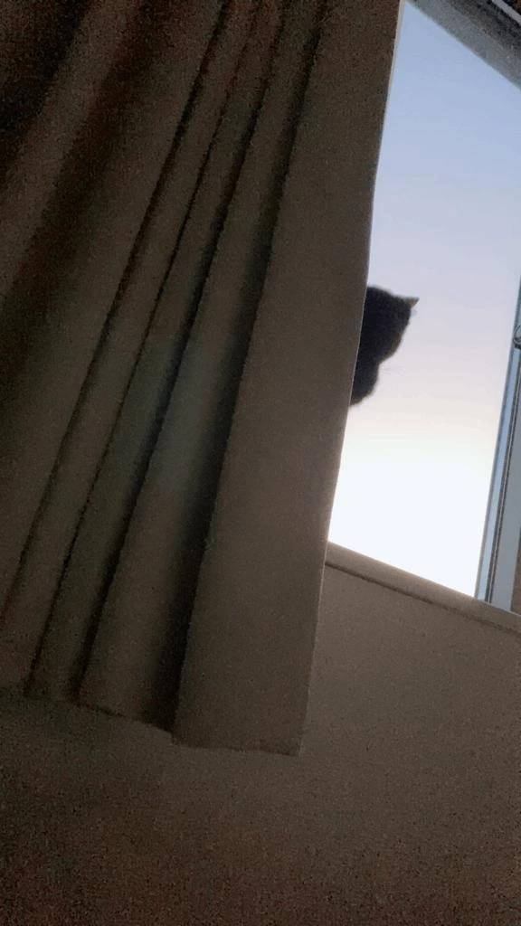 今日はおやすみっ🦥