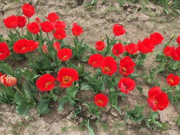 出勤しております🫡