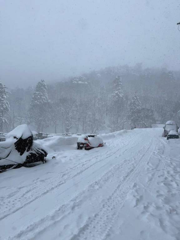 たろ（しろうとcollection）