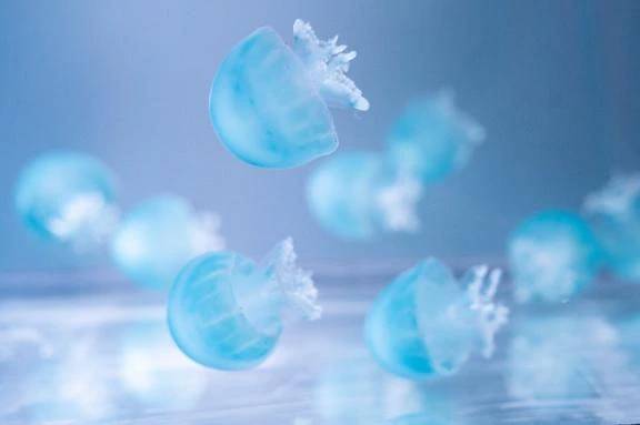 出勤してます✨