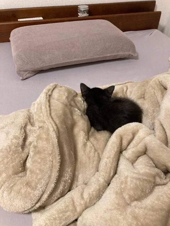 おはようございますっ☀️