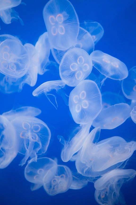 出勤してます✨