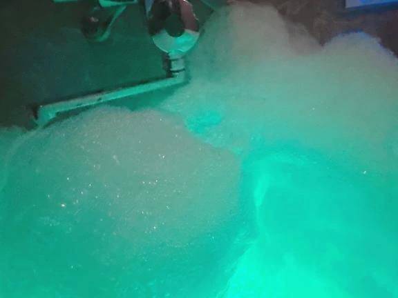 せいら（しろうとcollection）