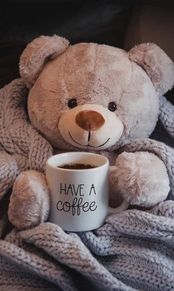 COOのお兄さんへ