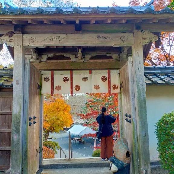 出勤してます🌿